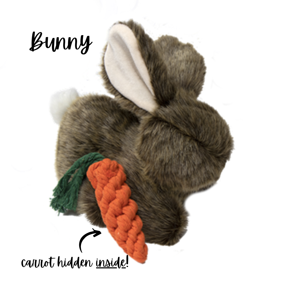 Bunny Dog Toy carrot Inside