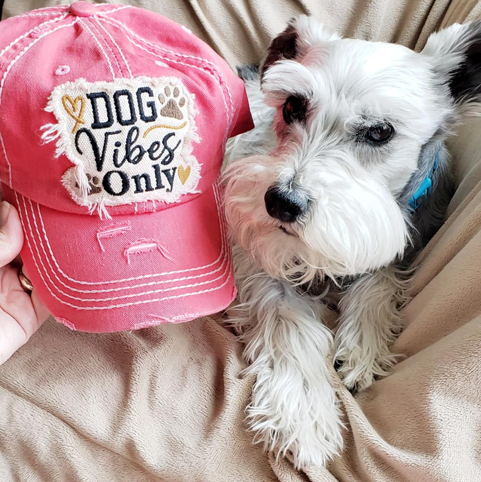 Dog Vibes Only Distressed Baseball Hat