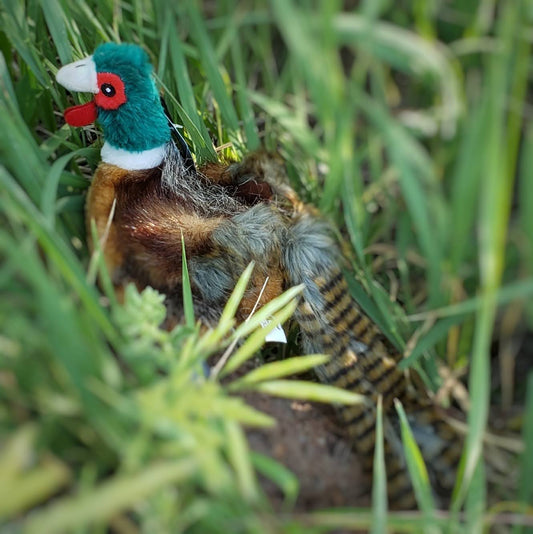 Ball Birds Pheasant Dog Toy